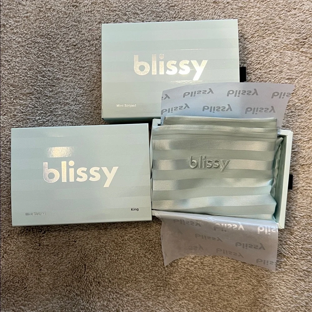 Blissy Mint Green 2 Striped King Size Pillowcases - Picture 4 of 7
